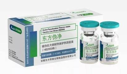 投票倒計(jì)時(shí)三天 誰(shuí)能摘得年度最具影響力獎(jiǎng)項(xiàng)？